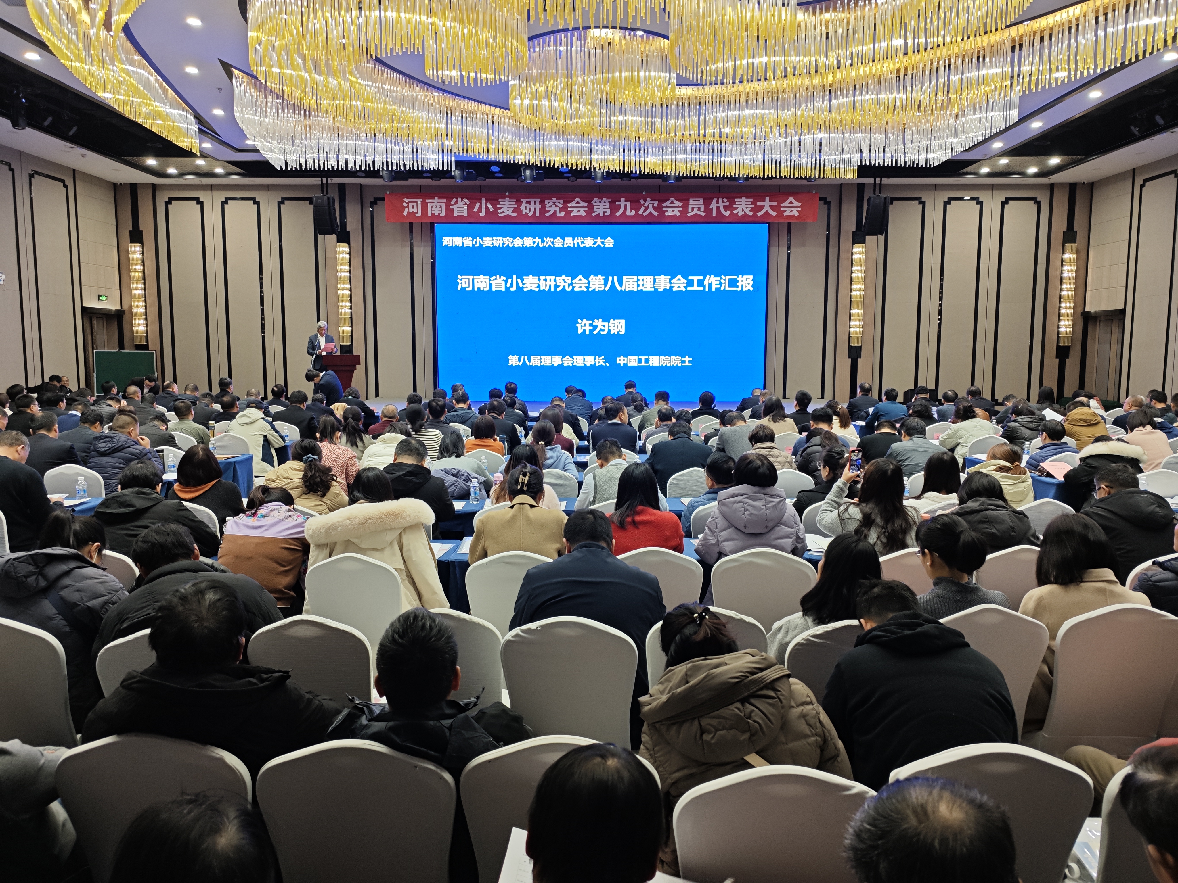 河南省小麦研究会第九次会员代表大会在郑州召开